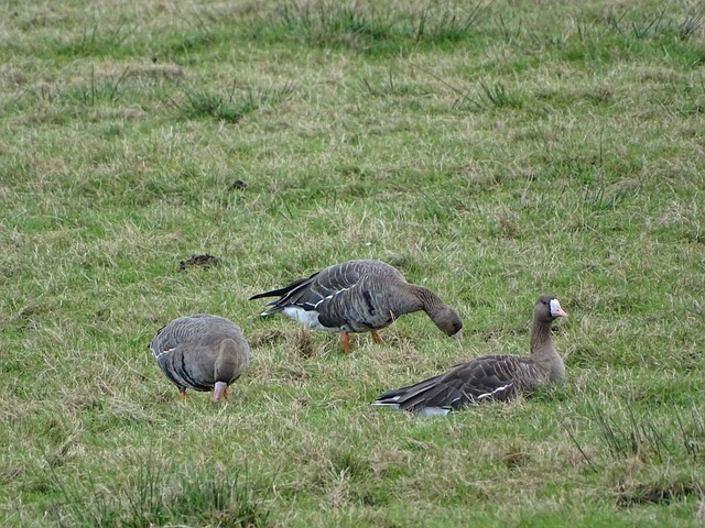 小艾佛森的 小艾佛森的