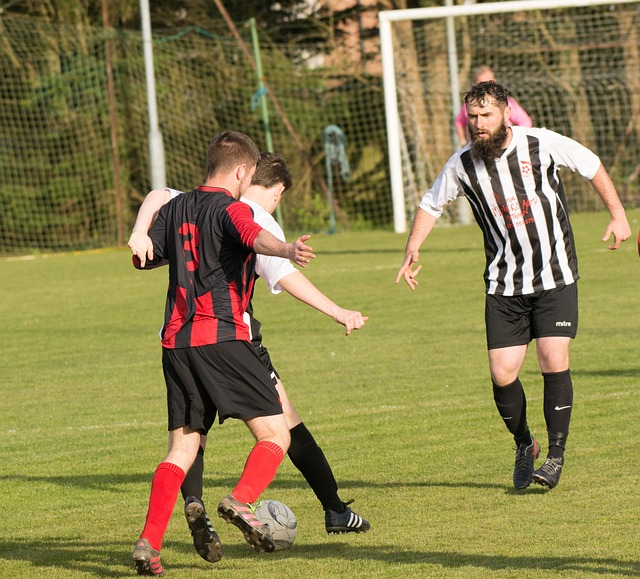 关于鲁能可 关于鲁能可