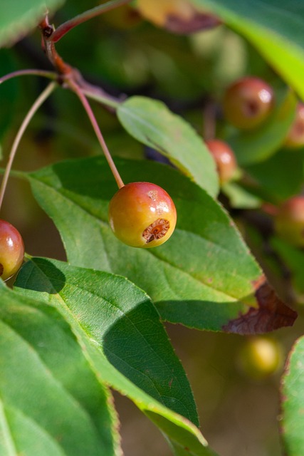 不容小觑的 不容小觑的