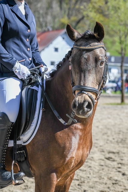 或影响其心 或影响其心